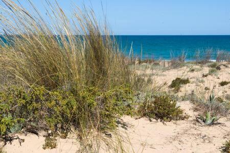 Casa Felipa, Una Estancia Unica En La Costa Blanca Guardamar del Segura Eksteriør bilde