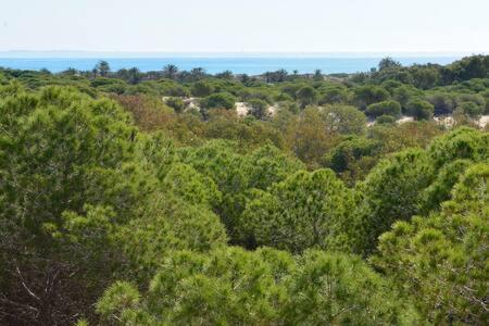 Casa Felipa, Una Estancia Unica En La Costa Blanca Guardamar del Segura Eksteriør bilde